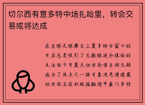 切尔西有意多特中场扎哈里，转会交易或将达成
