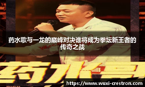 zoty中欧药水歌与一龙的巅峰对决谁将成为拳坛新王者的传奇之战